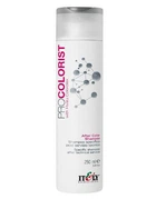 Шампунь цветовой стабилизатор Itely Hairfashion Pro Colorist 250 мл