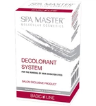 Система Spa Master Prof BASIC LINE 154 SM для видалення фарби з волосся 110+110 мл.