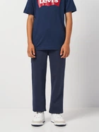 Подростковые спортивные штаны LVN Boxtab Jogger