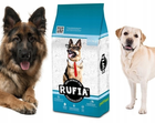 Корм для дорослих собак Rufia 20 кг (5600276940199) - зображення 2