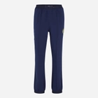 Спортивні штани чоловічі Fila FAM0373-50001 2XL Сині (4064556386984) - зображення 1