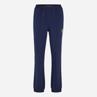 Спортивні штани чоловічі Fila FAM0373-50001 L Сині (4064556386991) - зображення 1