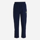 Спортивні штани чоловічі Fila FAM0361-50001 M Сині (4064556389060) - зображення 1