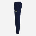 Спортивні штани чоловічі Fila FAM0361-50001 2XL Сині (4064556389046) - зображення 2