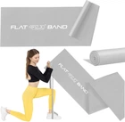 Лента-эспандер для спорта и реабилитации 4FIZJO Flat Band 200 х 15 см 15-25 кг Silver (P-5907739310446)