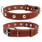 Ошейник "CoLLaR" одинарный с украшениями (ширина 20мм, длина 32-40см) коричневый