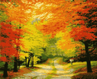 Картина за номерами, (PN0169), Осінній ліс, 40 х 50 см, Artissimo
