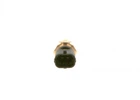 Датчик температуры масла BOSCH 0 280 130 122 Opel Astra, Insignia, Vectra, Zafira, Meriva, CORSA, Combo; Cadillac CTS; Chevrolet Camaro, Cruze, Captiva, Malibu; GMC Acadia 90541937, 71741090, 71739856