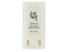 Матирующий солнцезащитный стик с экстрактом полыни и камелии Beauty Of Joseon Matte Sun Stick: Mugwort + Camelia SPF 50+ PA++++, 18г (8809864766884)