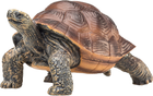 Фігурка Mojo Animal Planet Giant Tortoise Large 3.5 см (5031923872592) - зображення 3