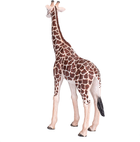 Фігурка Mojo Animal Planet Giraffe Male XL 17 см (5031923810082) - зображення 4