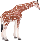 Фігурка Mojo Giraffe Female XL 12.4 см (5031923810334) - зображення 5