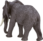 Figurka Mojo Wildlife African Elephant 13.5 cm (5031923871892) - obraz 3