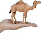 Фігурка Mojo Wildlife Arabian Camel 12 см (5031923871137) - зображення 6