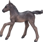Figurka Mojo Farm Life Arabian Foal Black 8 cm (5031923810150) - obraz 1