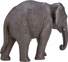 Фігурка Mojo Wildlife Asian Elephant 9 см (5031923872660) - зображення 4