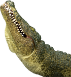 Figurka Mojo Wildlife Crocodile with Articulated Jaw 8 cm (5031923871625) - obraz 5