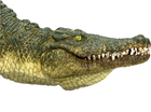 Figurka Mojo Wildlife Crocodile with Articulated Jaw 8 cm (5031923871625) - obraz 6