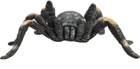 Figurka Mojo Red Kneed Tarantula 4 cm (5031923872134) - obraz 2