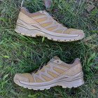 Чоловічі тактичні кросівки з Gore-Tex LOWA Innox PRO GTX LO TF колір Койот (розмір 43, устілка 28,5 см) - зображення 12