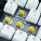 Клавіатура дротова Sharkoon Skiller SGK50 S3 Gateron Yellow USB White (4044951039678) - зображення 3