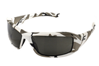 Окуляри тактичні Edge Eyewear Hamel Arctic Camo Smoke