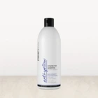Шампунь антижовтий Сріблястий Profi Style Styling Anti-Yellow 500 мл