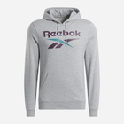 Bluza z kapturem męska ocieplana Reebok Identity Big Logo Fleece Hoodie 100206026 L Szara (1200143879696) - obraz 1