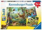 Puzzle 3x49 Ravensburger Świat zwierząt (4005556092659) - obraz 1