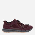 Buty sportowe trekkingowe damskie z membraną ECCO Terracruise II W 843063-51502 37 Bordowe (194890414150)