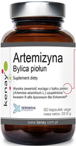 Suplement diety KenayAG Artemizyna Bylica Piołun 60 kapsułek (5900672155389) - obraz 1