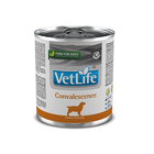 Влажный лечебный корм для собак Farmina Vet Life Convalescence для восстановления питания и выздоровления