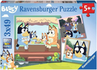 Zestaw puzzli Ravensburger Bluey 3 x 49 elementów (4005556056859)