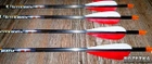 Стрелы для стрельбы из лука 31" Easton Excel 500 5 штук (44/298388) - изображение 2