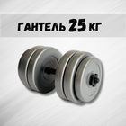 Гантель 25кг GREY