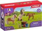 Zestaw do zabawy Schleich rodzina kocyków do zabawy (4059433574172) - obraz 1