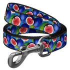 Нейлоновый поводок для собак WAUDOG Nylon рисунок Инжир L-XXL Ш 25 мм Д 122 см Blue (342-4053)
