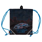 Сумка для обуви YES SB-10 Street Racing (559645)