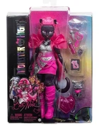 Кукла Monster High Catty Noir Doll - Монстер Хай Кэтти Нуар (HXH76) - Игровой набор Mattel