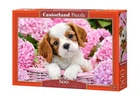 Пазл Castorland puzzle Щенок в розовых цветах, 500 эл. (b-52233)