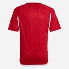 Футболка спортивна чоловіча Adidas Tiro 23 Competition Match Jersey HL4712 XL Червона (4065432686983) - зображення 6