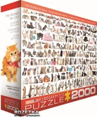 EuroGraphics Мир кошек 2000 элементов (8220-0580) - изображение 1