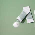 Набір саше з ензимною пудрою для вмивання Isntree Spot Saver Mugwort Calming Powder Wash 1g x 25шт