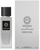 Woda perfumowana dla mężczyzn The Woods Collection North Star 100 ml (3760294351215) - obraz 1