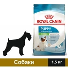 Сухой корм Royal Canin X-Small Junior для собак мелких пород весом до 4 кг до 10 месяцев