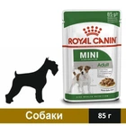 Влажный корм для взрослых собак Royal Canin Mini Adult кусочки в соусе