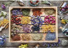 Puzzle Piatnik Healing Herbs 68 x 48 cm 1000 elementów (9001890556043) - obraz 2