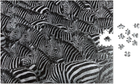 Puzzle Printworks Wildlife Pattern Zebra 52 x 38 cm 500 elementów (7350108172462) - obraz 3