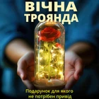 Троянда в колбі (нічник) з LED підсвічуванням (20 см, червона з білою дерев'яною підставкою) романтичний подарунок для особливих моментів