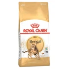 Корм Royal Canin Bengal Adult для дорослих бенгальських котів від 12 місяців
